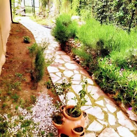 Patara Kaş